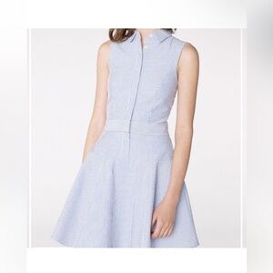 Sleeveless Blue Striped Dress Button Closure
